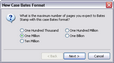 Bates Stamp New Format dialog box