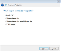 Document Production Wizard Output Format sccreen