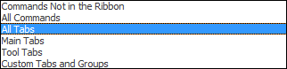 Customized Ribbon Menu Options