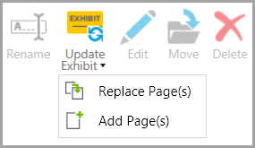 UpdateExhibitOptions