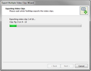 Export Video Clips Status