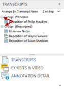 Transcripts pane > Expand/Collapse buttons