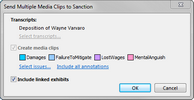 Send Transcript to Sanction dialog box