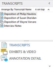 Transcripts pane