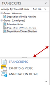 Transcripts pane