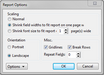 New ReportBook Wizard > Report Options