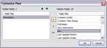 By Issue Report Wizard > Customize View dialog box