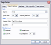 Page Setup dialog box > Report Options tab