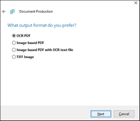 Document Production Wizard Output Format sccreen