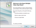 Export Multiple Video Clips Wizard