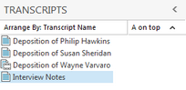 Transcripts pane with applied transcript filter